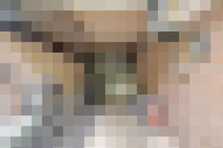 De Kellsche Vicarij 14 Angerlo thumbnail 36