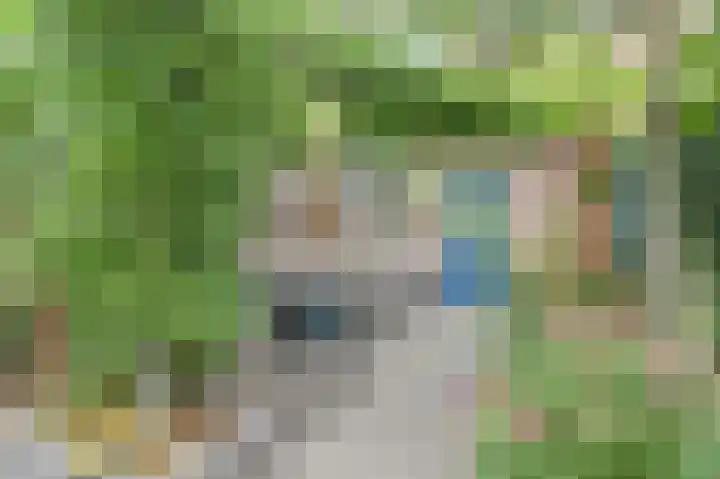 De Kellsche Vicarij 14 Angerlo thumbnail 37