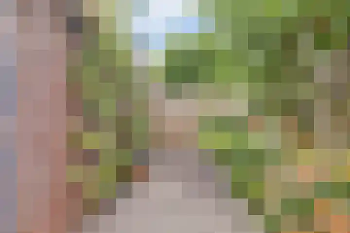 De Kellsche Vicarij 14 Angerlo thumbnail 38