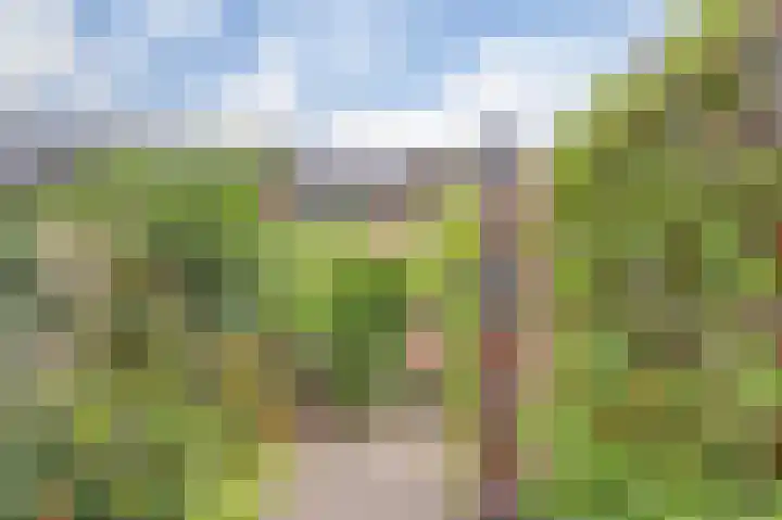 De Kellsche Vicarij 14 Angerlo thumbnail 39