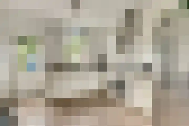 De Kellsche Vicarij 14 Angerlo thumbnail 4