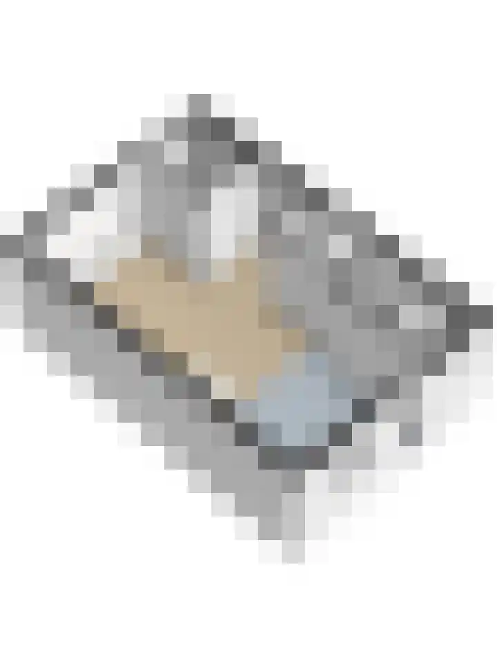 De Kellsche Vicarij 14 Angerlo thumbnail 42