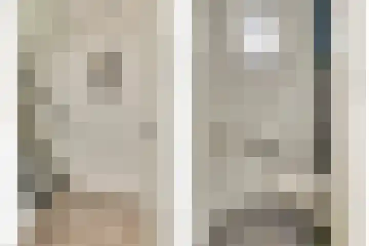 De Kellsche Vicarij 14 Angerlo thumbnail 6