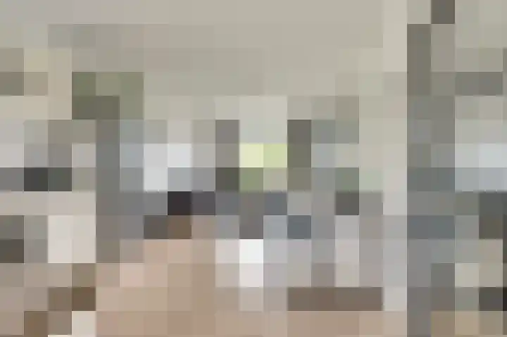 De Kellsche Vicarij 14 Angerlo thumbnail 7