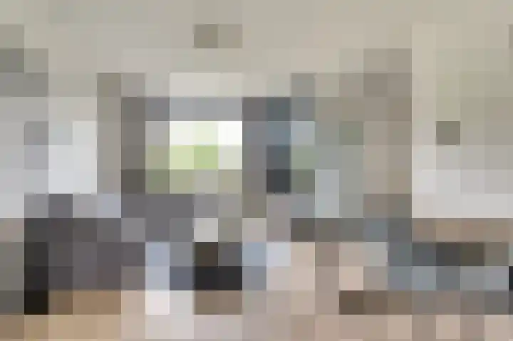 De Kellsche Vicarij 14 Angerlo thumbnail 9