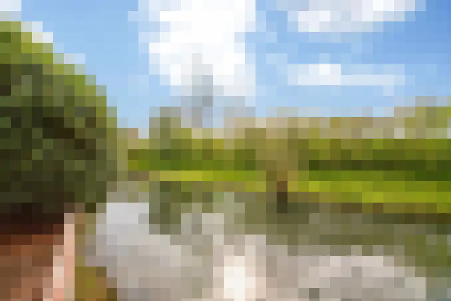 De Kemfkens 41 Westervoort thumbnail 23
