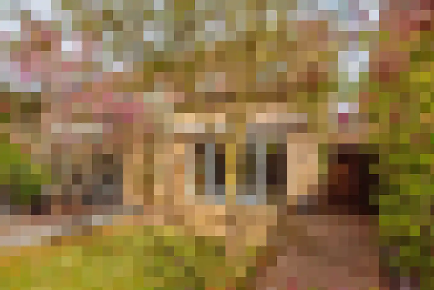 De Kemfkens 41 Westervoort thumbnail 25