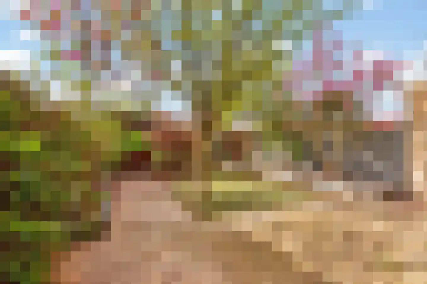 De Kemfkens 41 Westervoort thumbnail 26
