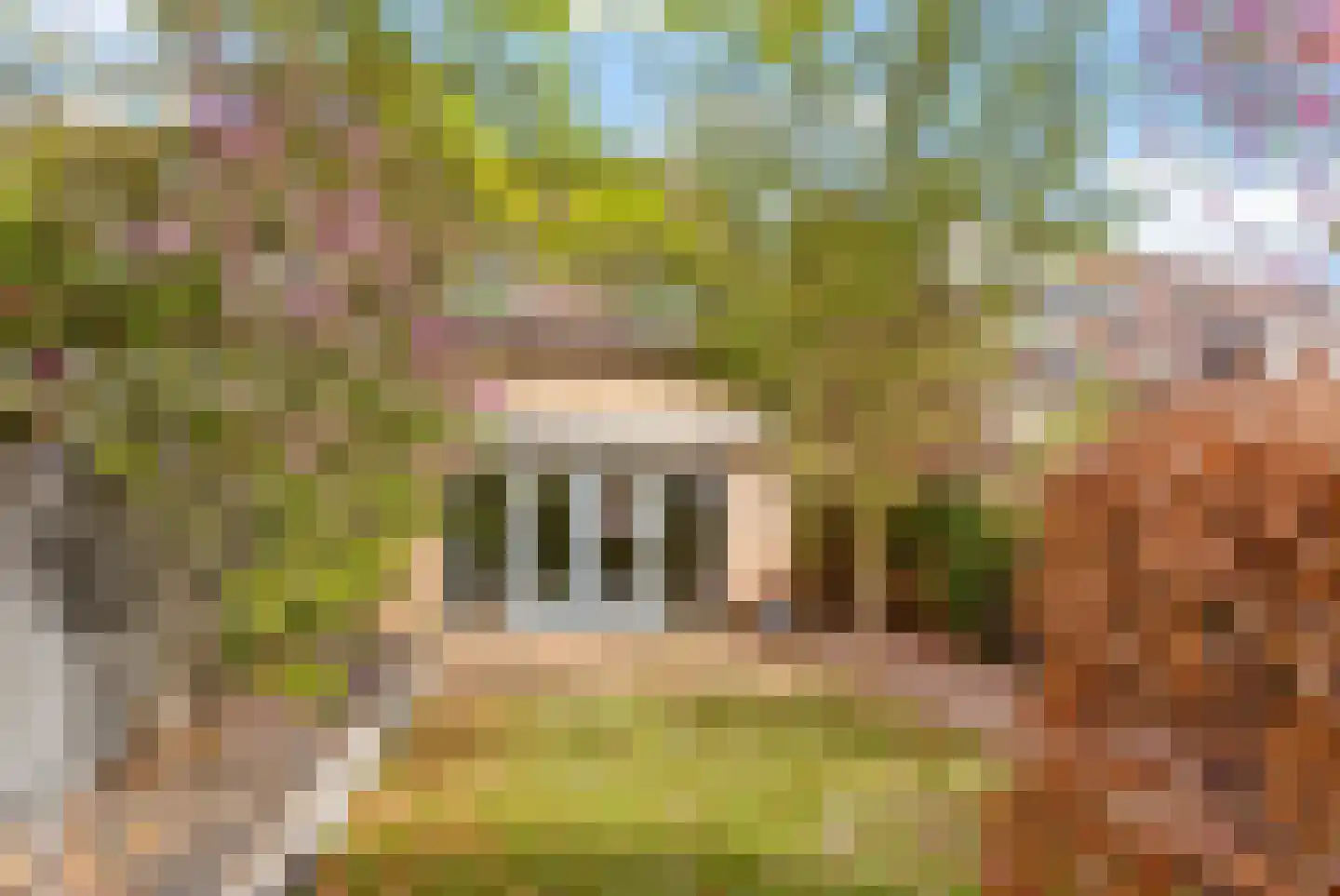 De Kemfkens 41 Westervoort thumbnail 28