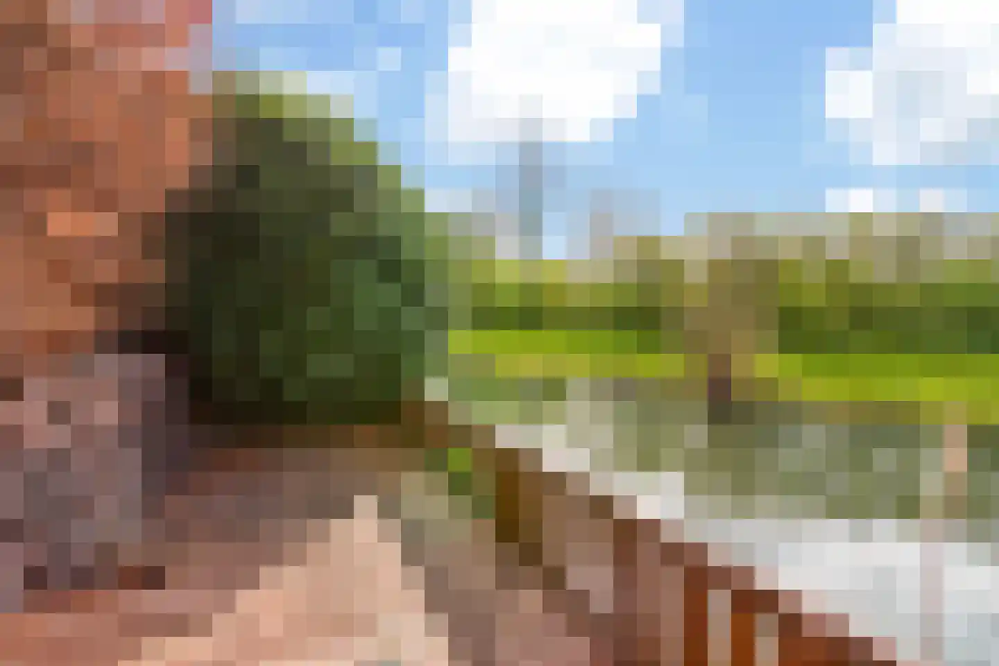 De Kemfkens 41 Westervoort thumbnail 29
