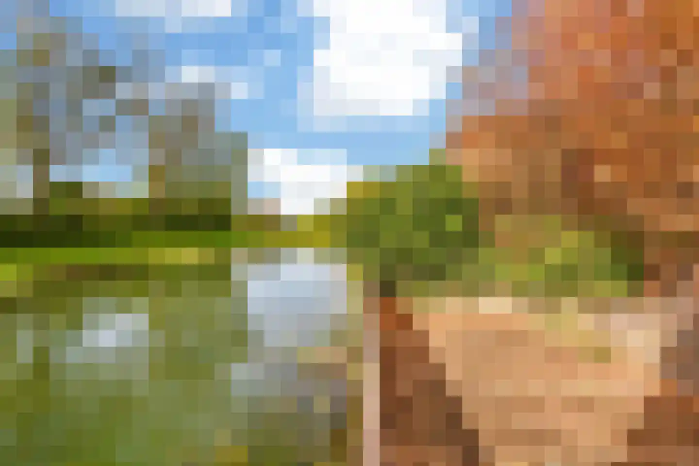 De Kemfkens 41 Westervoort thumbnail 30