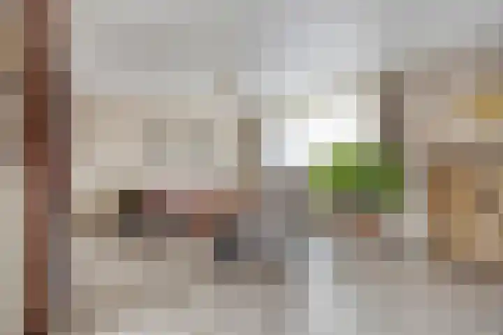 De Kempen 13 Oss thumbnail 14