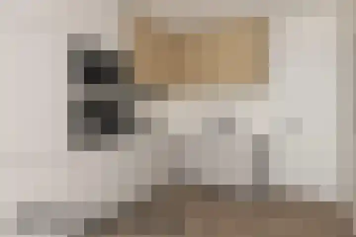 De Kempen 13 Oss thumbnail 17