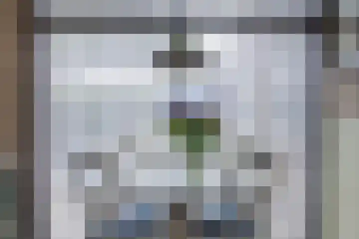 De Kempen 13 Oss thumbnail 27