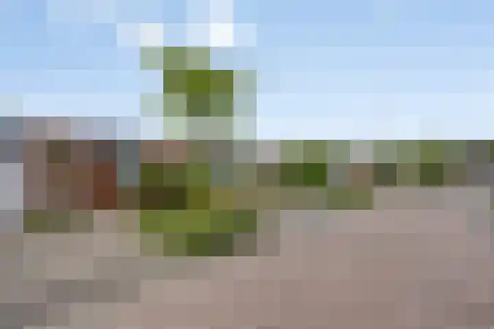 De Kempen 13 Oss thumbnail 5