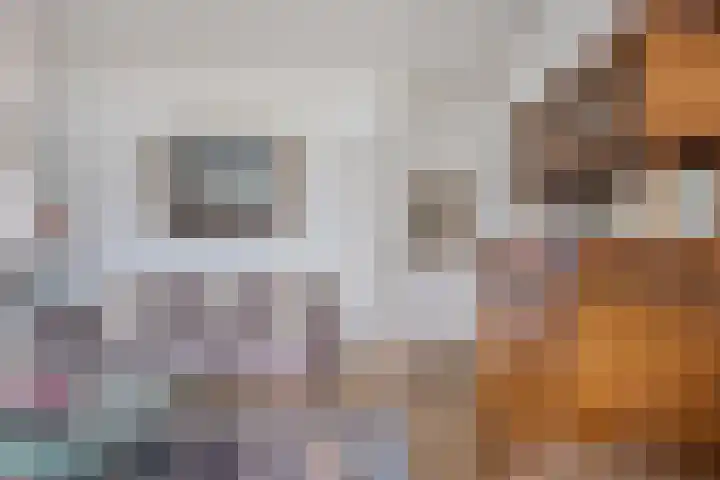 De Kempen 15 Oss thumbnail 13