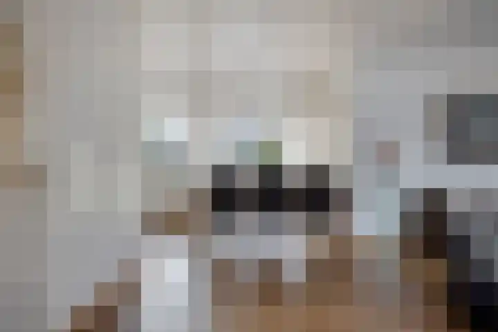 De Kempen 15 Oss thumbnail 15