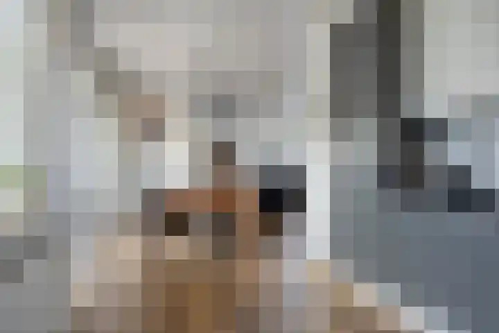 De Kempen 15 Oss thumbnail 16