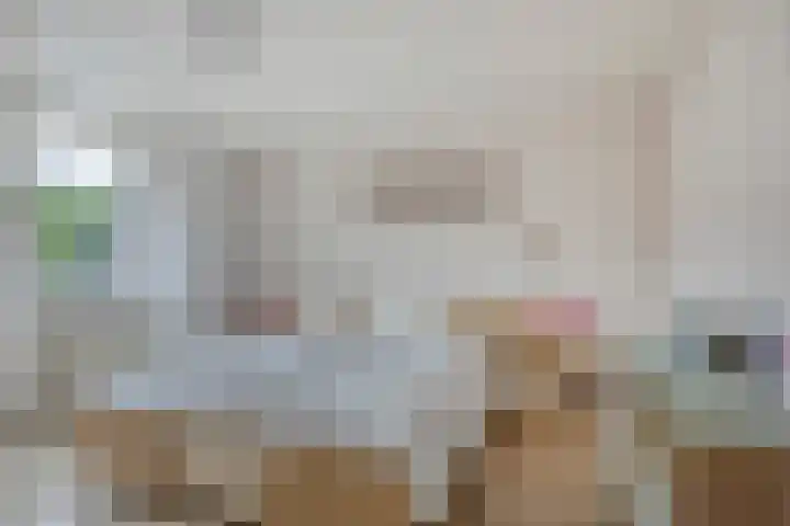 De Kempen 15 Oss thumbnail 20