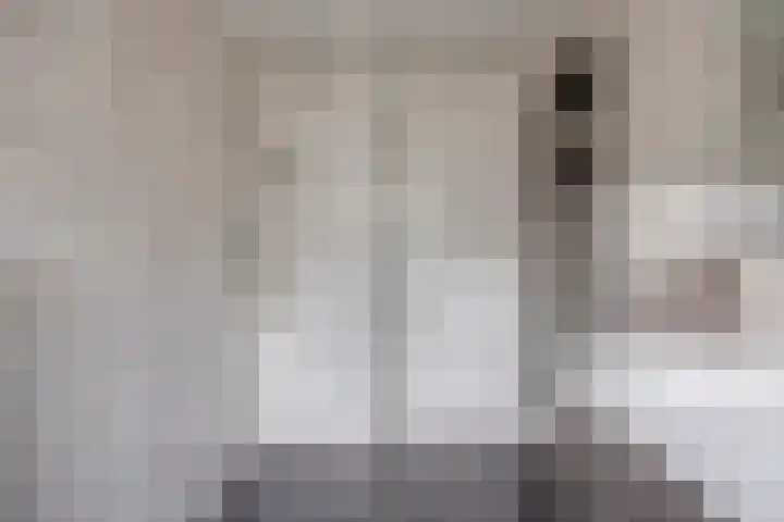 De Kempen 15 Oss thumbnail 26