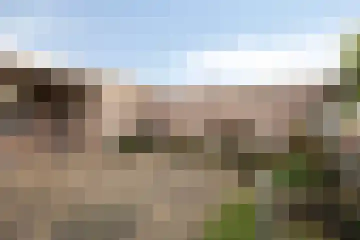 De Kempen 15 Oss thumbnail 34