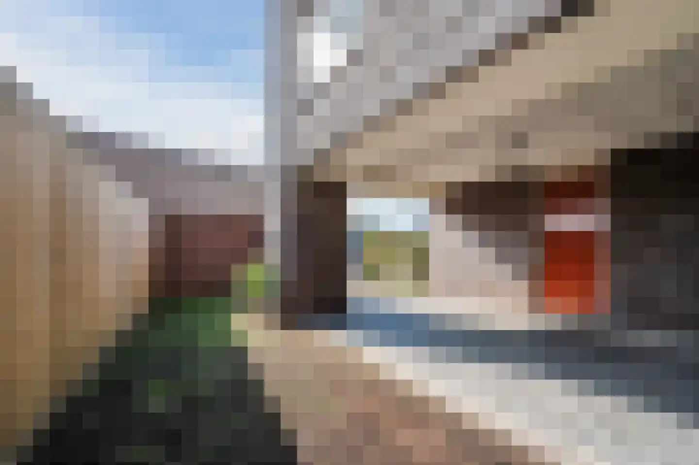 De Kempen 93 Veghel thumbnail 26