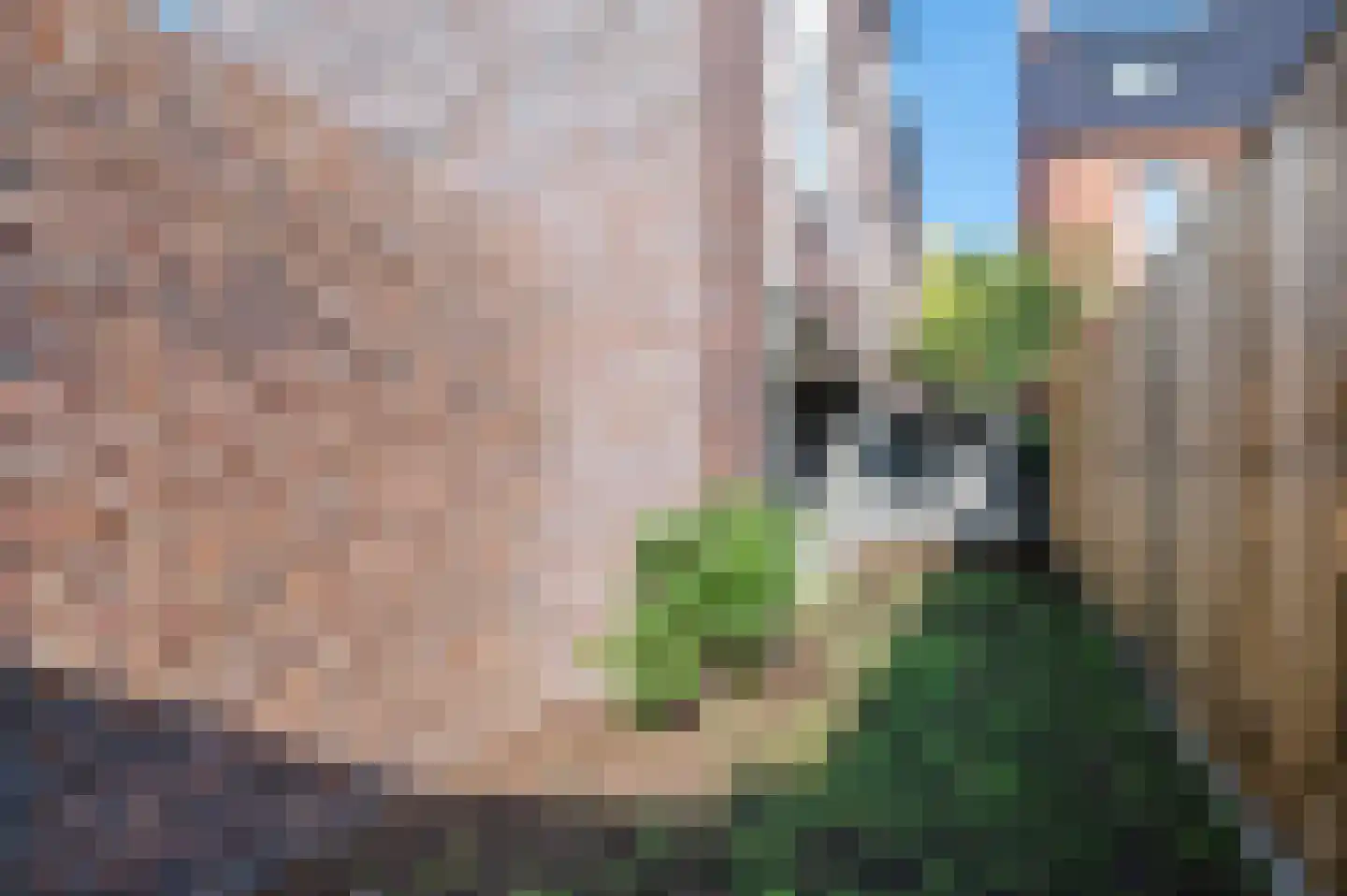 De Kempen 93 Veghel thumbnail 28
