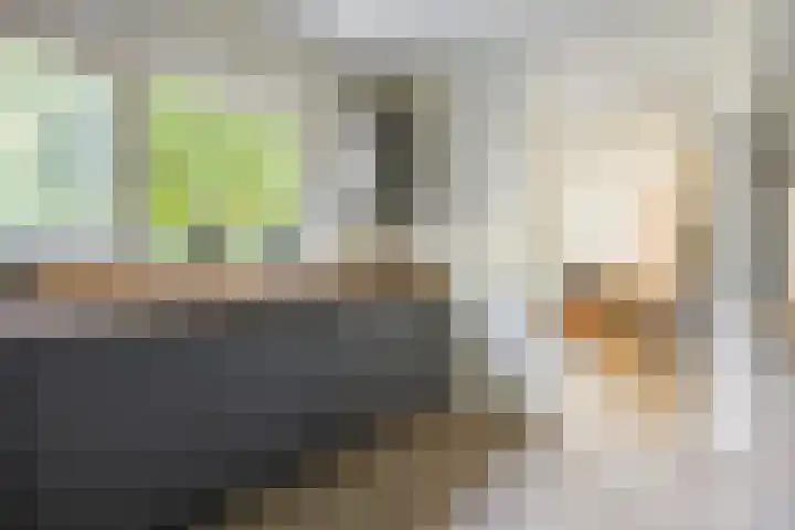De Kempenaerstraat 2 B Oss thumbnail 10