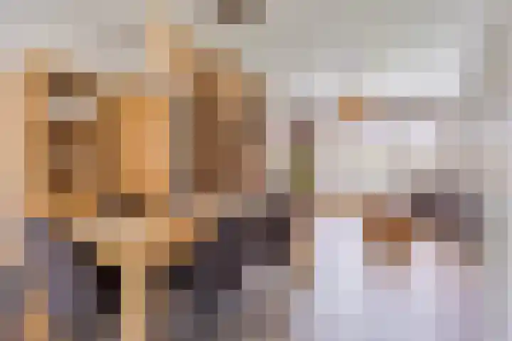 De Kempenaerstraat 2 B Oss thumbnail 12