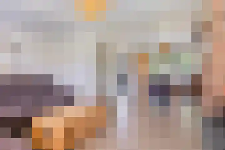 De Kempenaerstraat 2 B Oss thumbnail 15