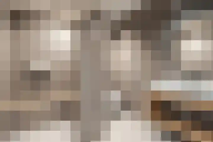 De Kempenaerstraat 2 B Oss thumbnail 19