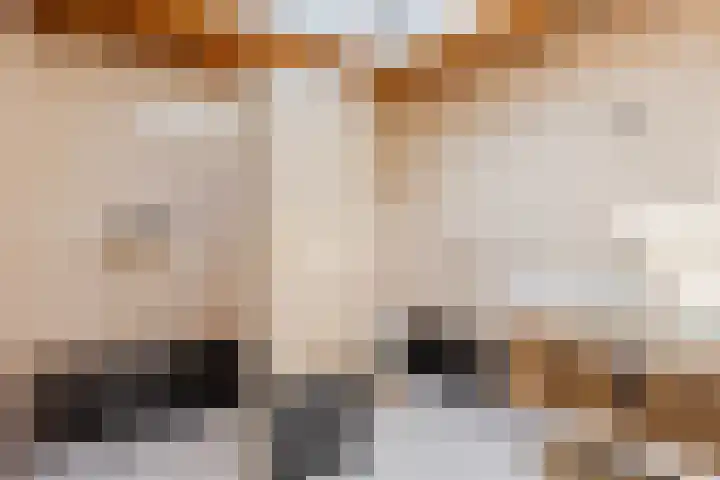 De Kempenaerstraat 2 B Oss thumbnail 20