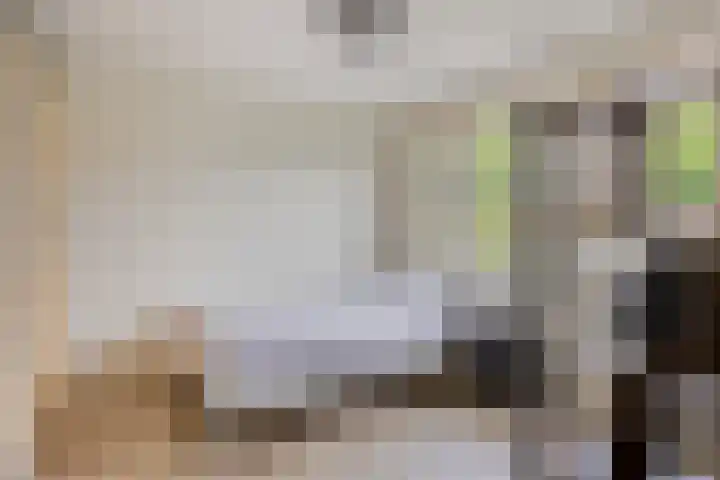 De Kempenaerstraat 2 B Oss thumbnail 22