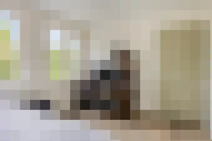 De Kempenaerstraat 2 B Oss thumbnail 23