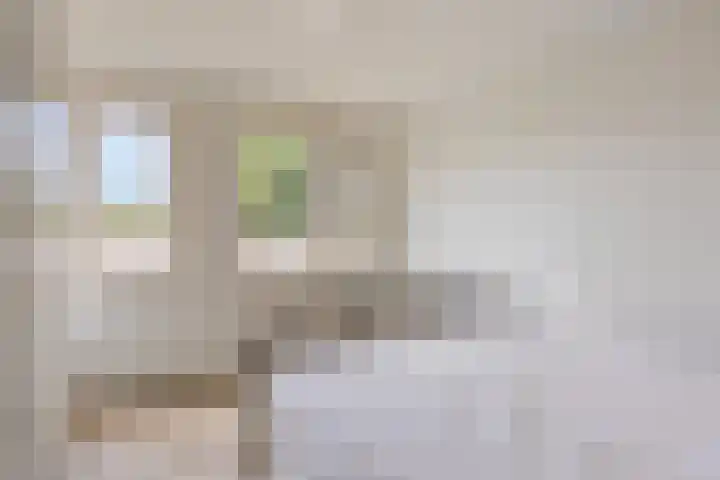 De Kempenaerstraat 2 B Oss thumbnail 26