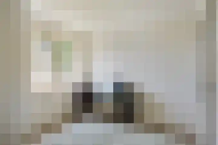 De Kempenaerstraat 2 B Oss thumbnail 28