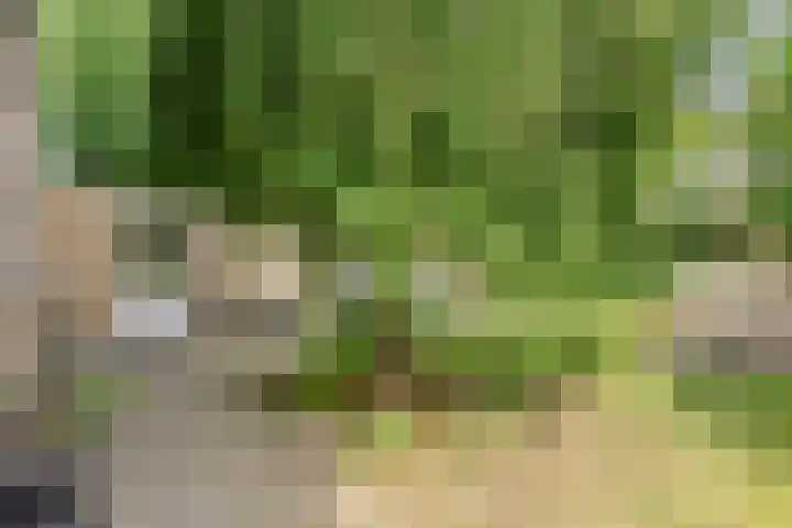 De Kempenaerstraat 2 B Oss thumbnail 31