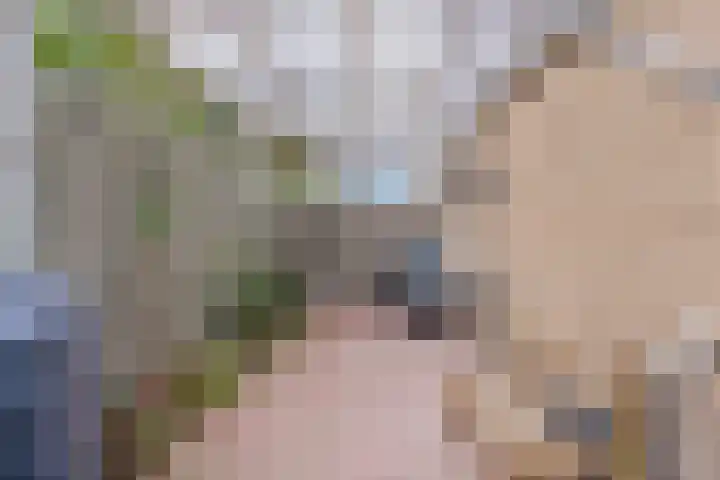 De Kempenaerstraat 2 B Oss thumbnail 32