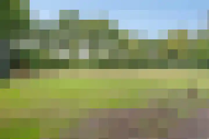 De Kempenaerstraat 2 B Oss thumbnail 35