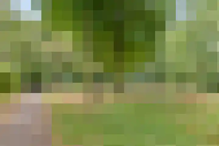 De Kempenaerstraat 2 B Oss thumbnail 37