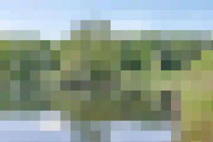De Kempenaerstraat 2 B Oss thumbnail 38