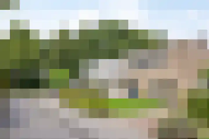 De Kempenaerstraat 2 B Oss thumbnail 7