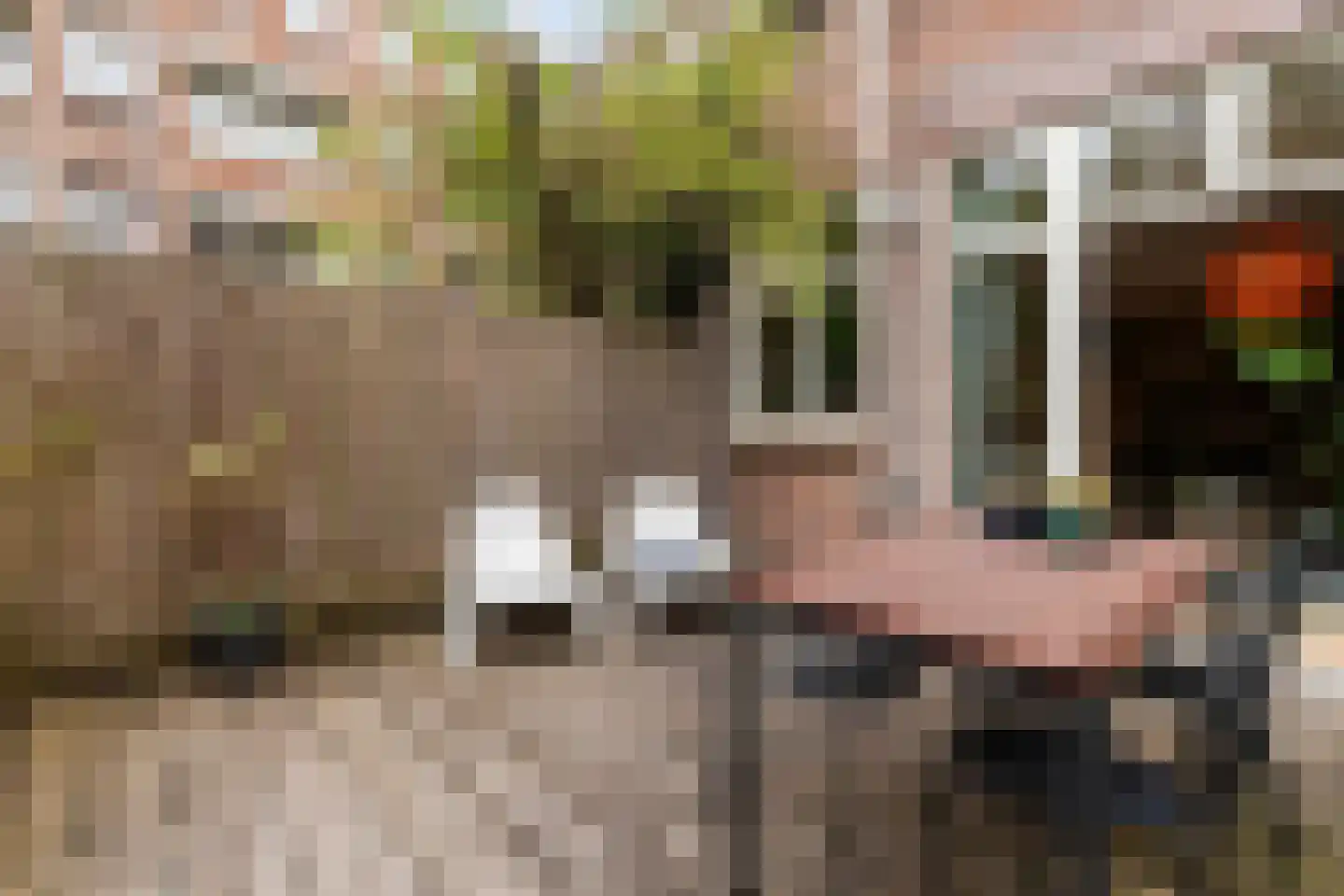 De Kempenaerstraat 20 A Rotterdam thumbnail 12