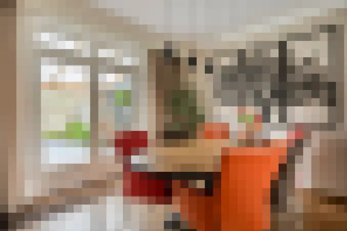 De Kempenaerstraat 36 Oss thumbnail 10