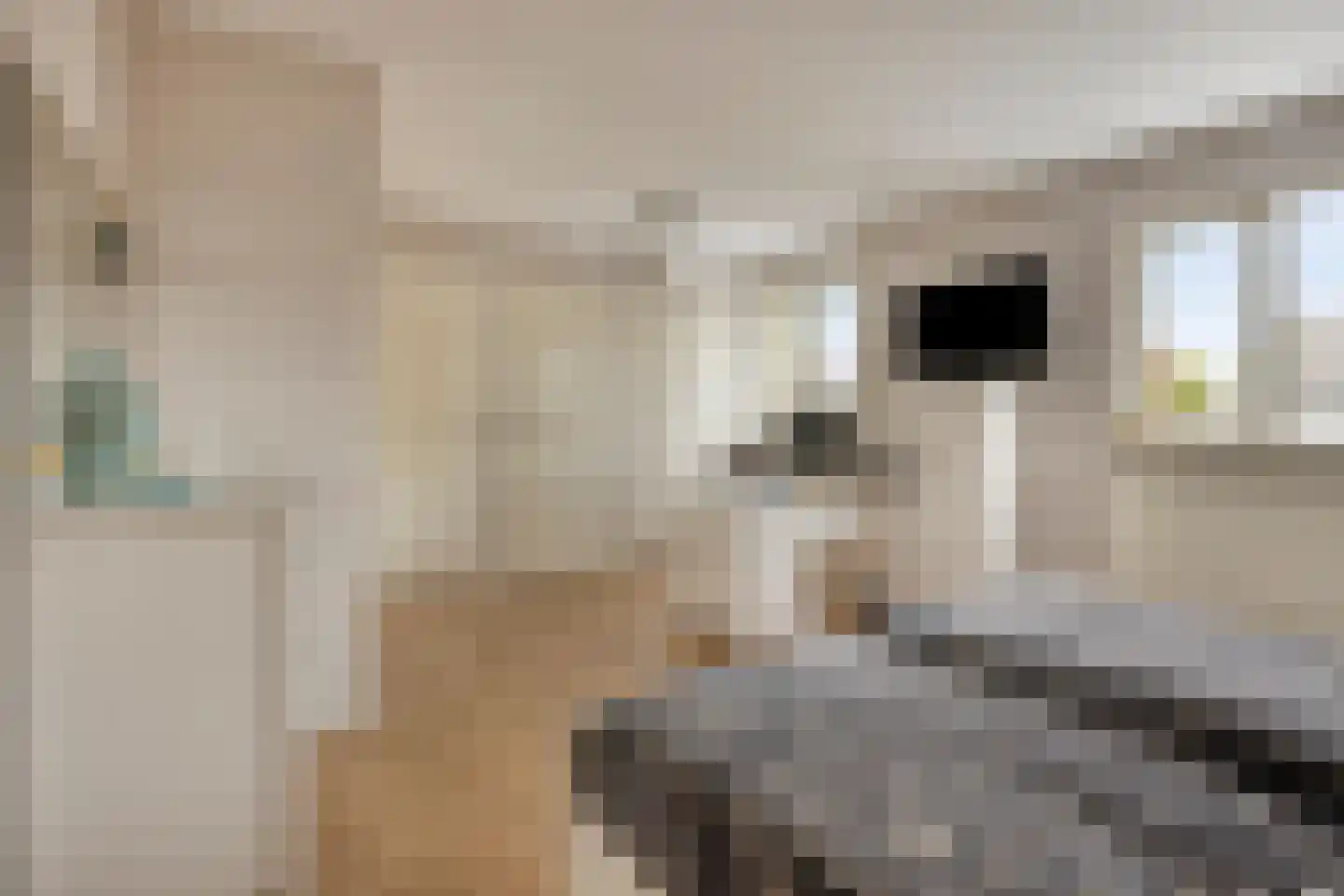 De Kempenaerstraat 36 Oss thumbnail 15
