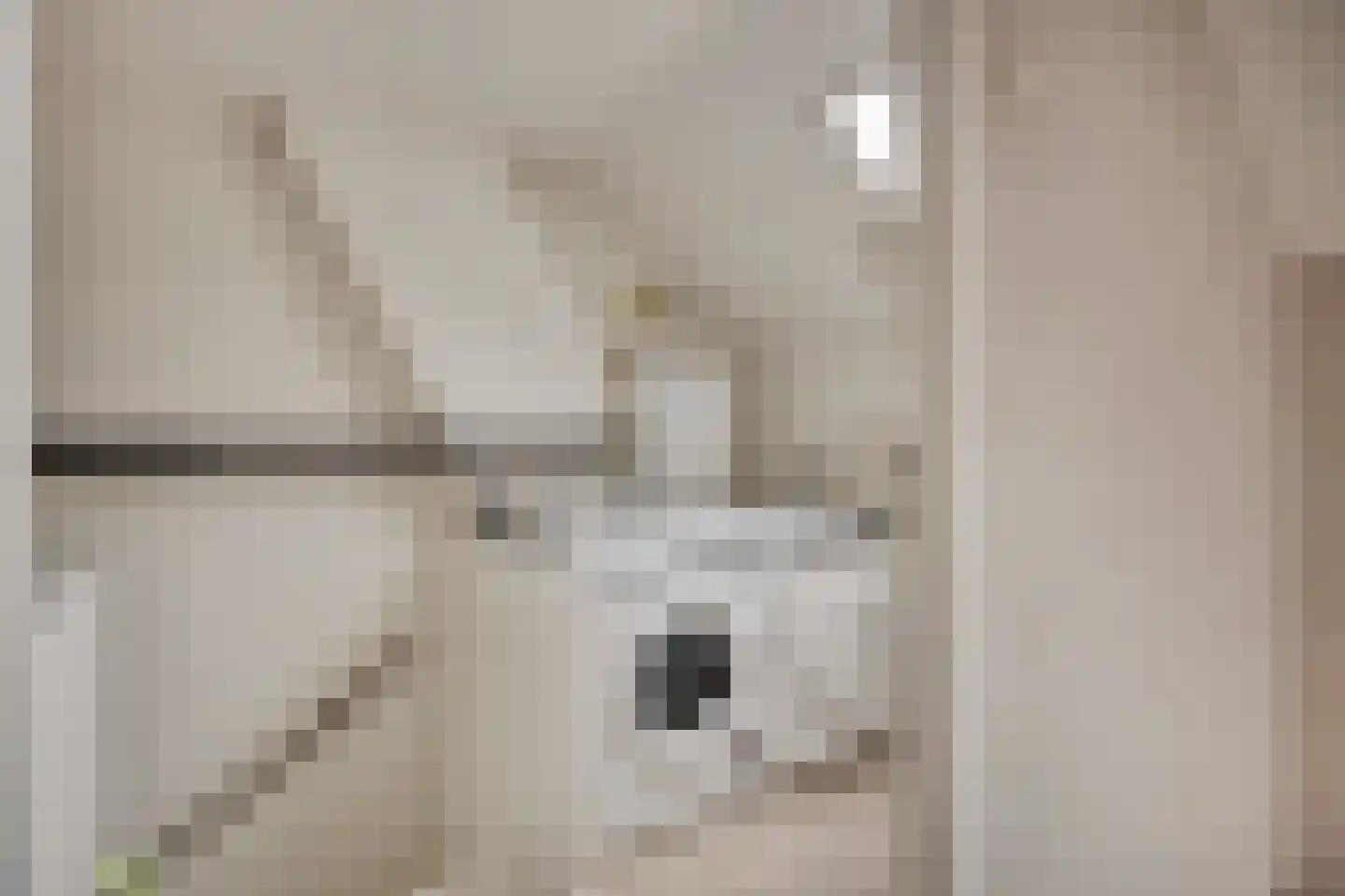 De Kempenaerstraat 36 Oss thumbnail 22