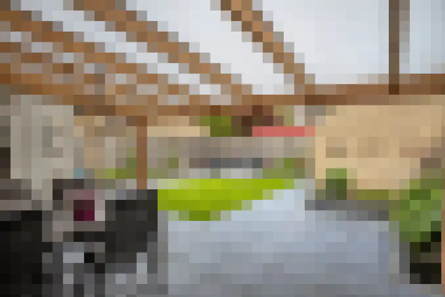 De Kempenaerstraat 36 Oss thumbnail 25