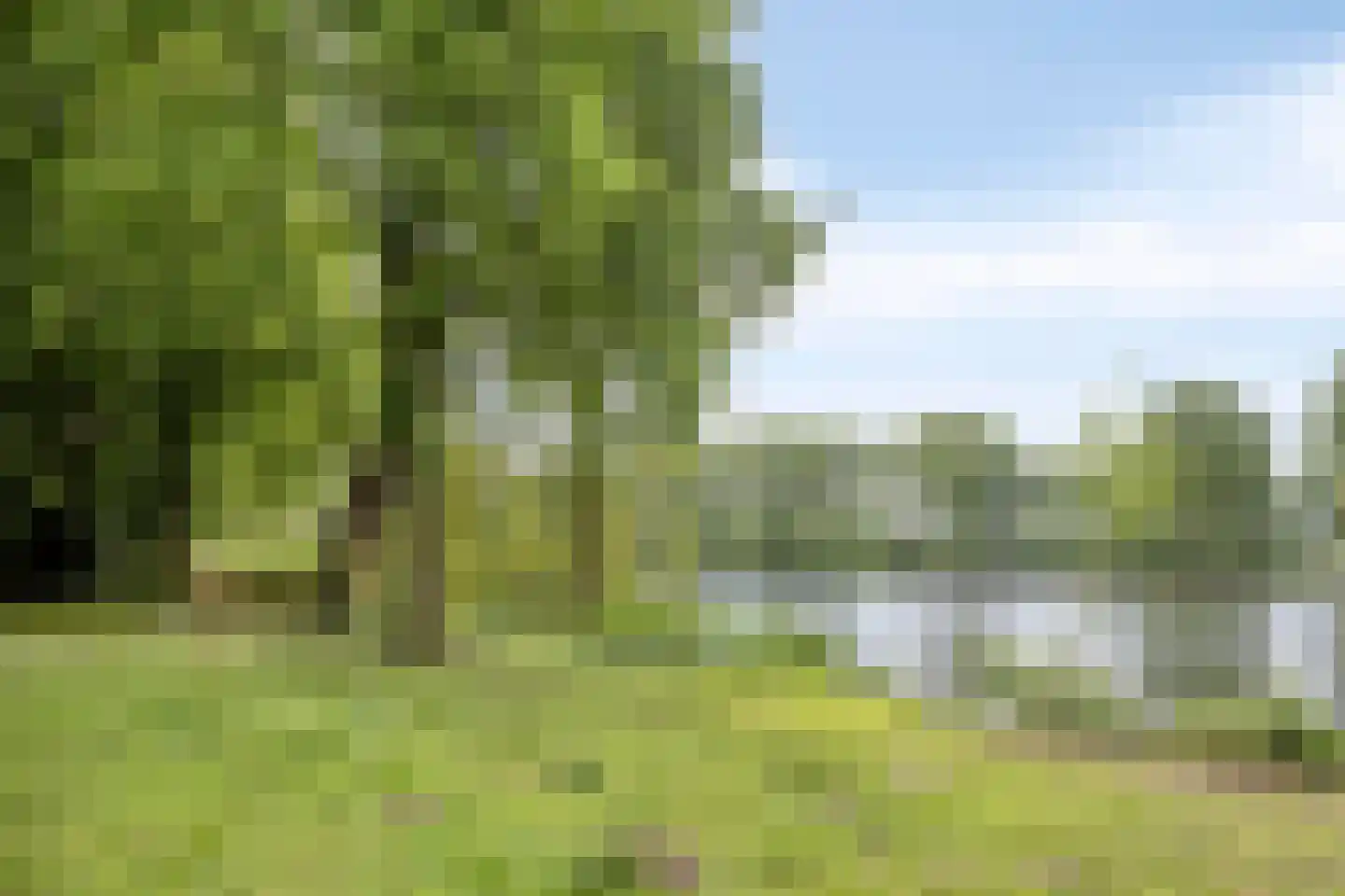 De Kempenaerstraat 36 Oss thumbnail 34