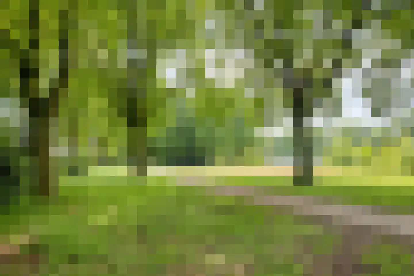 De Kempenaerstraat 36 Oss thumbnail 37