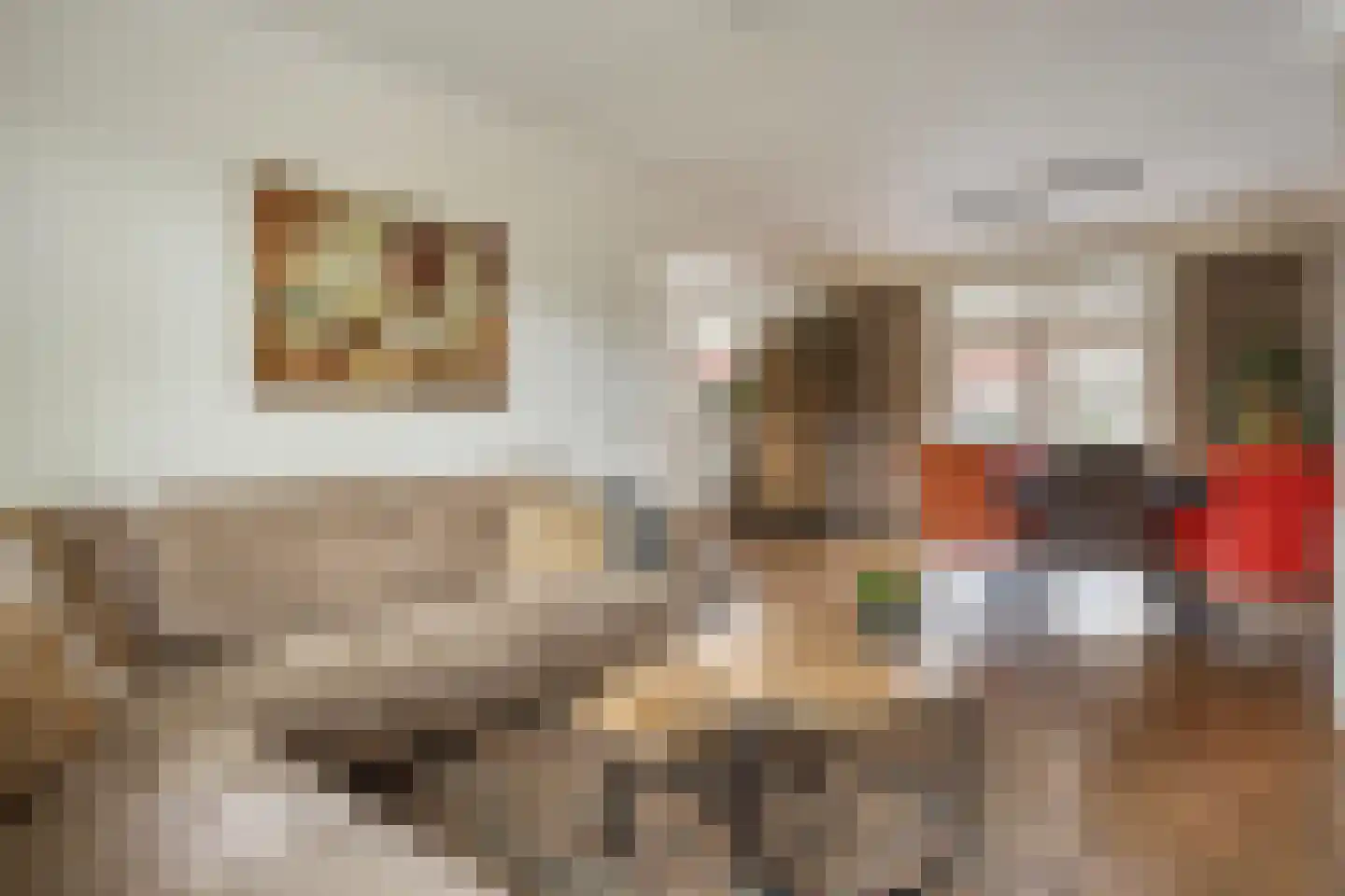 De Kempenaerstraat 36 Oss thumbnail 4